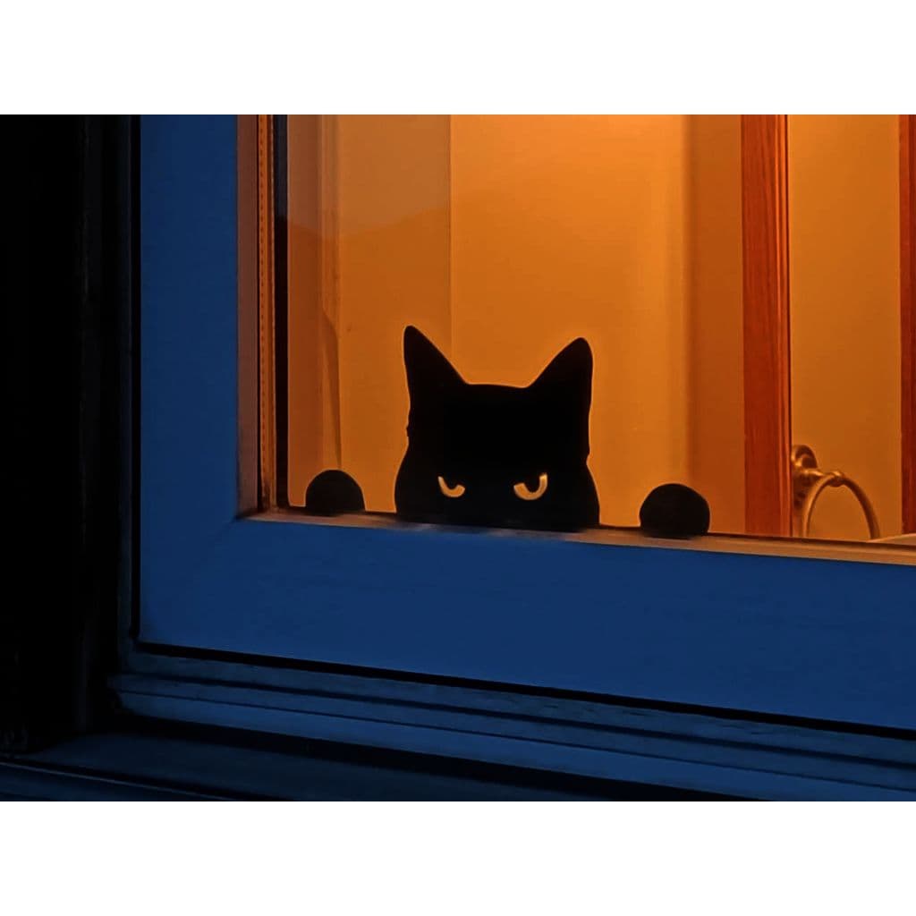 Сердитый кот-охранник на окно