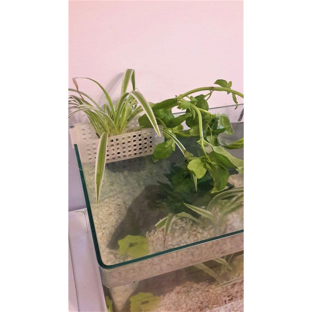 Корзинка для аквариумных растений