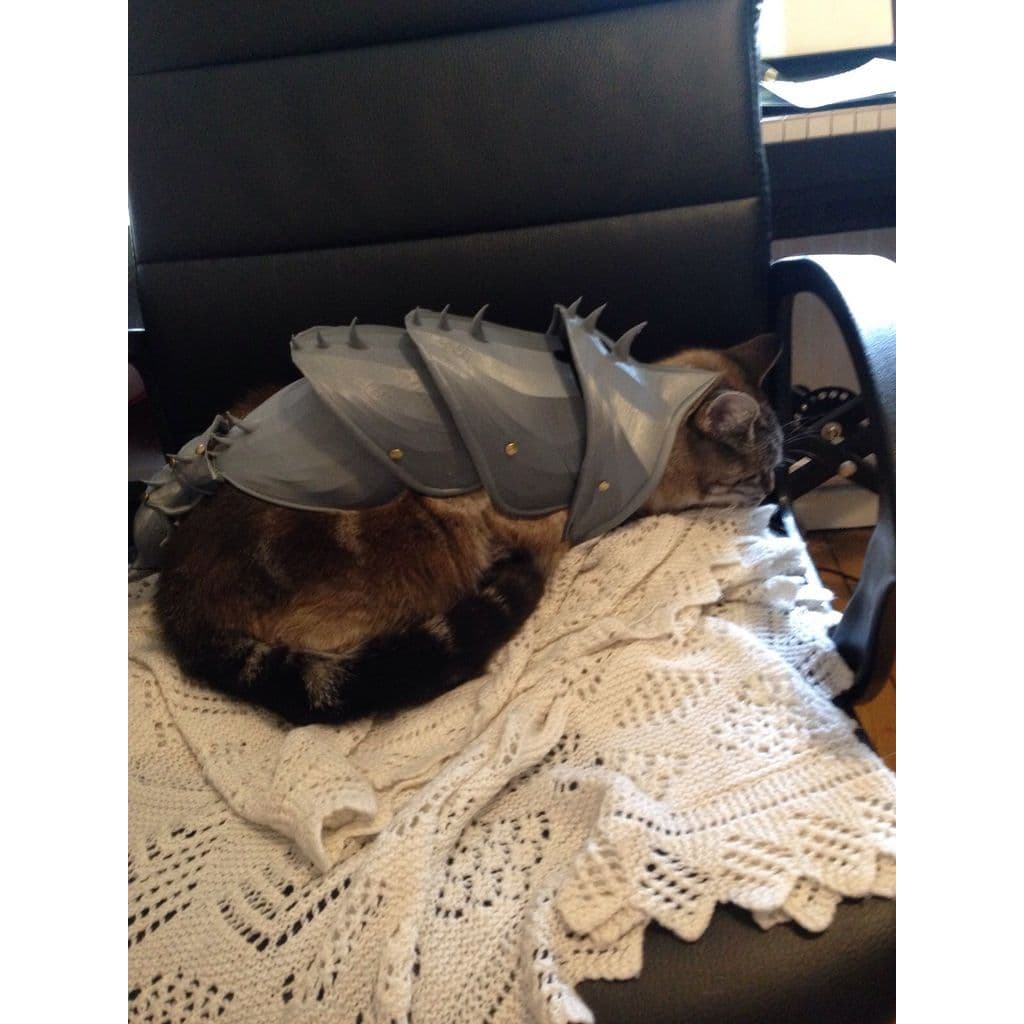 Броня для кота
