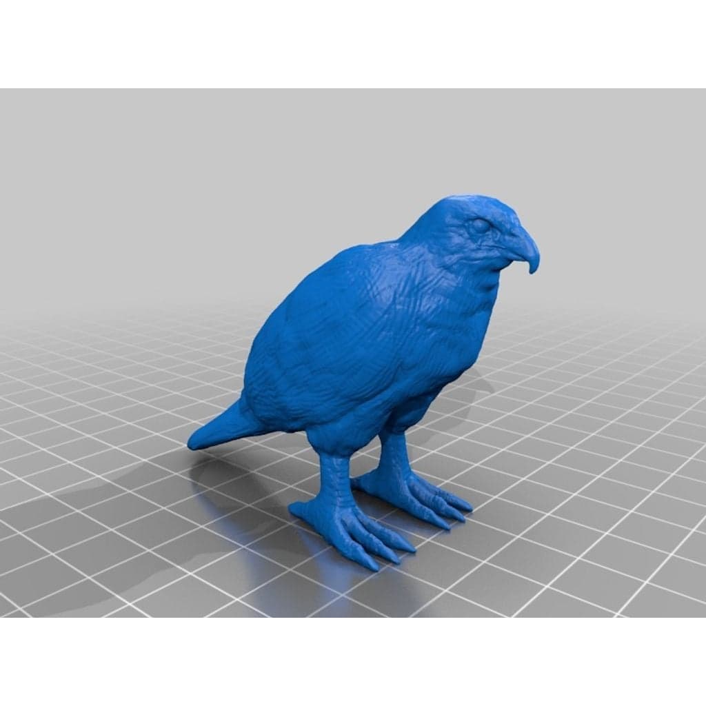 Ястреб (3D-модель)