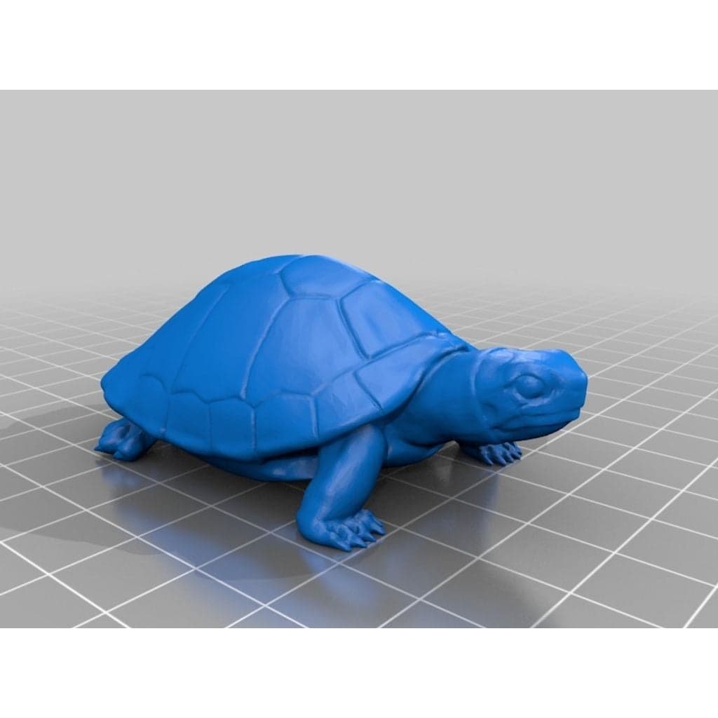 Черепаха (3D-модель)
