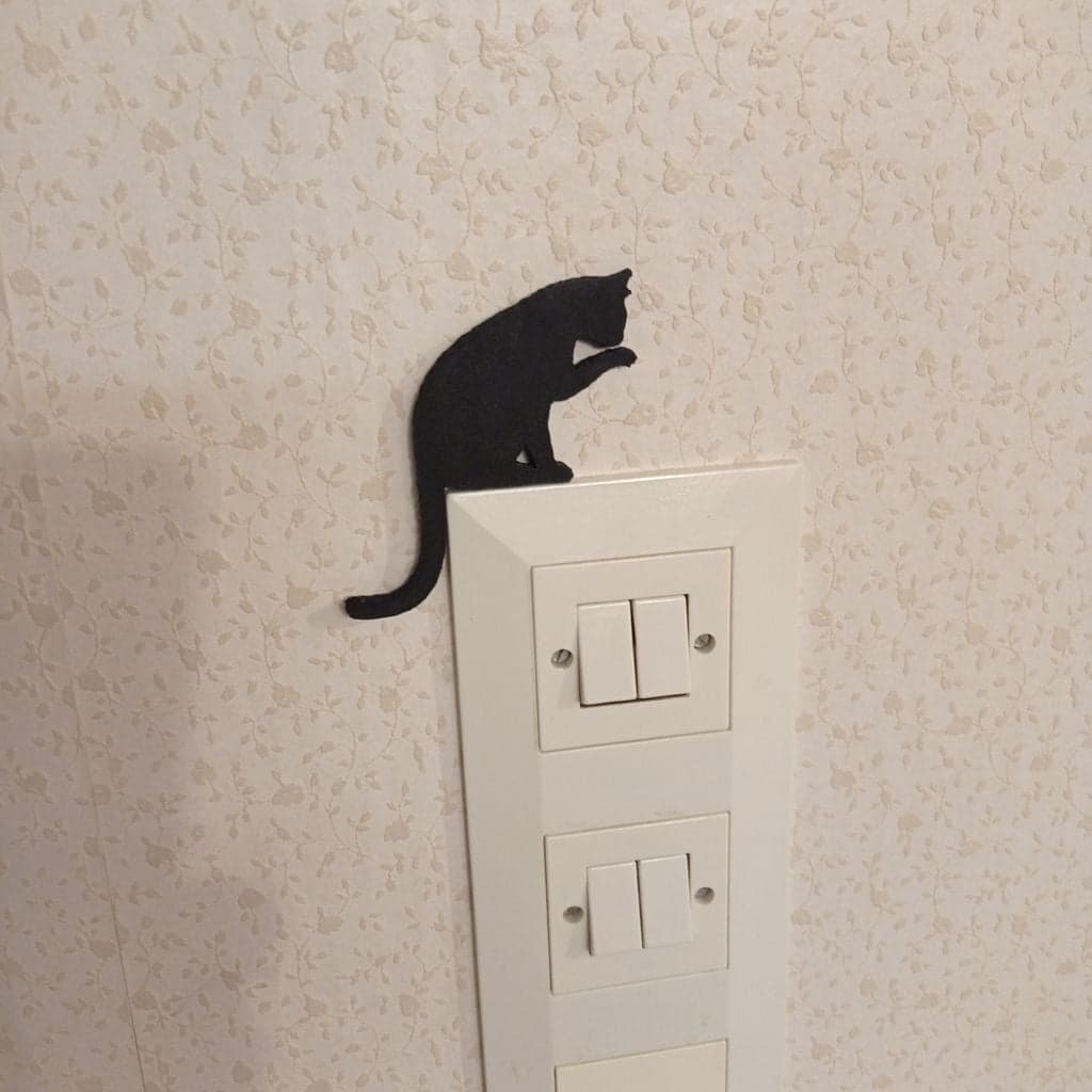 Кошка на выключатель
