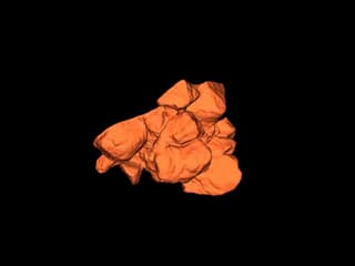 Камни (3D-скан) — фото 3