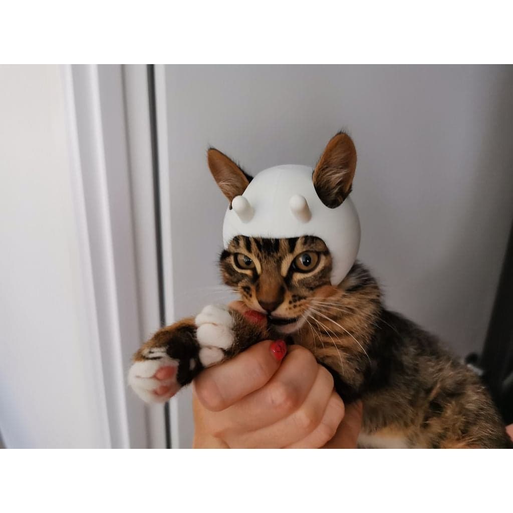 Космический шлем для кота — фото 3