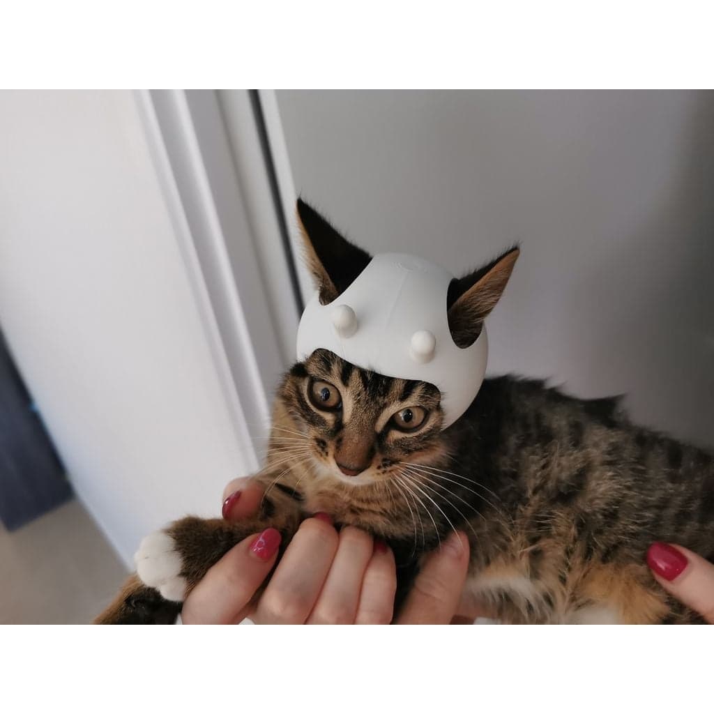 Космический шлем для кота
